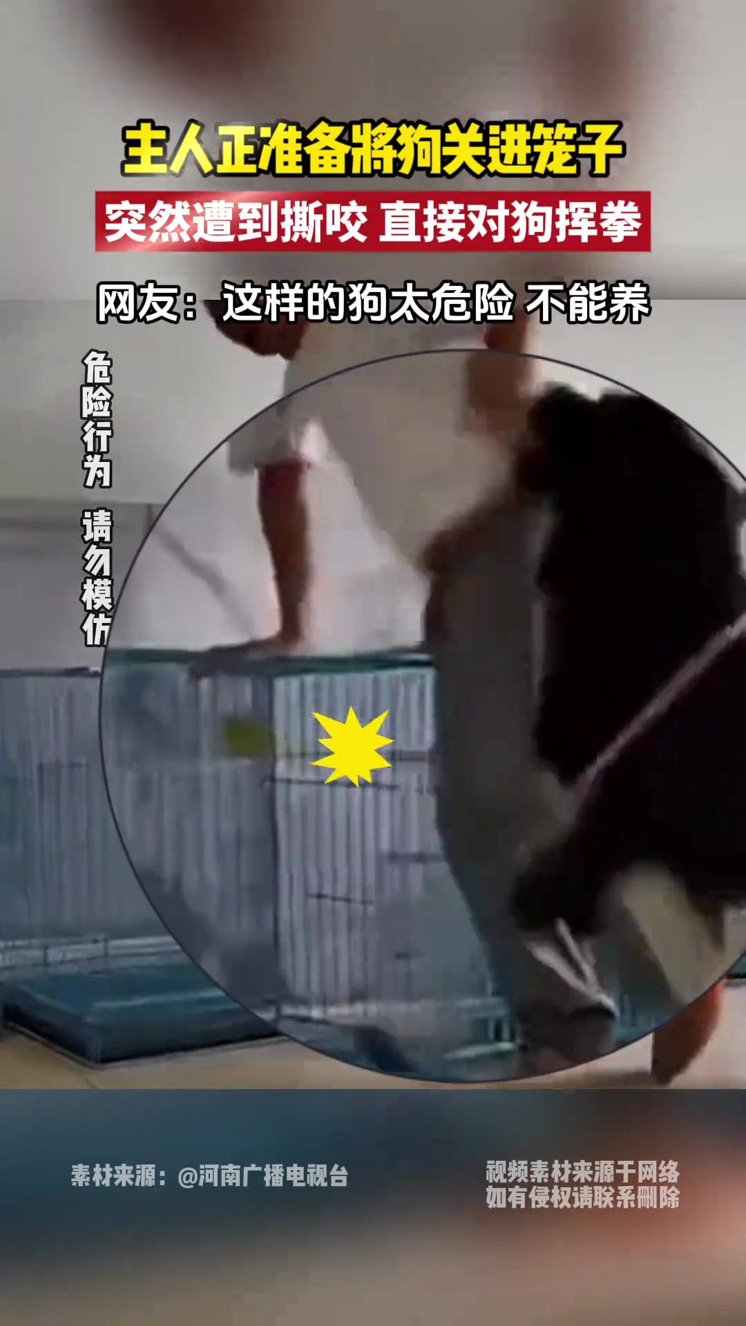 主人正准备将狗关进笼子，突然遭到撕咬主人直接对狗挥拳！