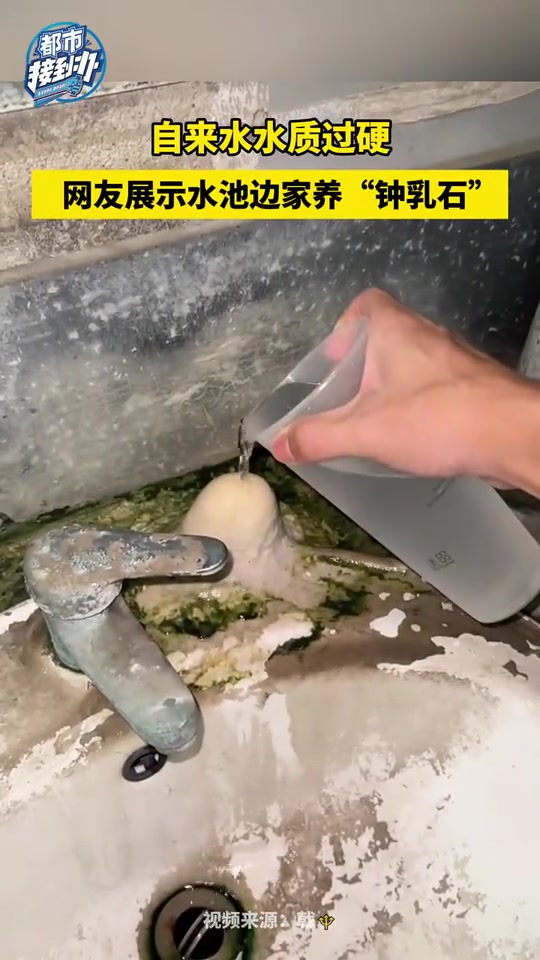 钟乳石也能养看着环境就知道是个“硬”汉！