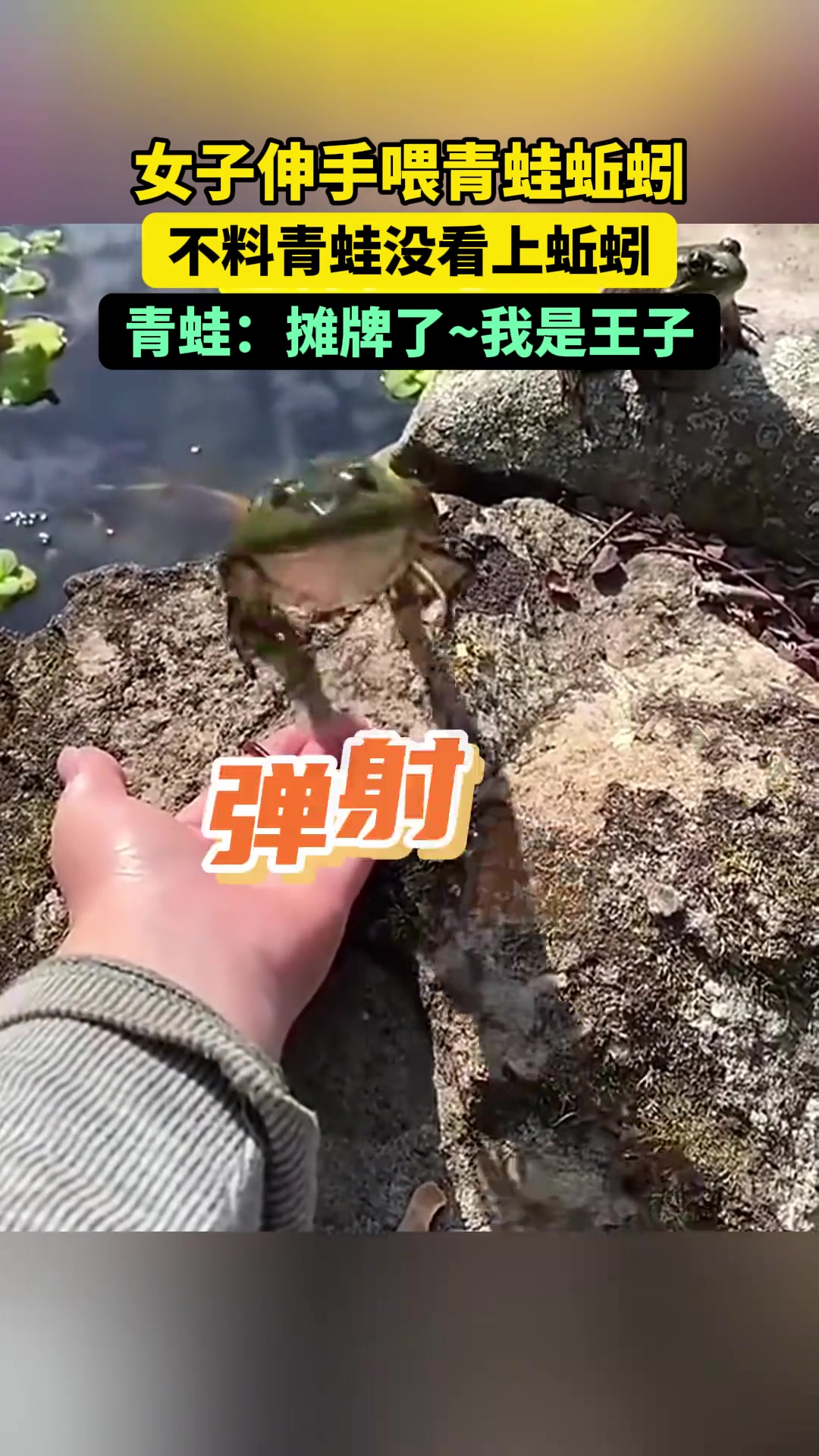 女子伸手给青蛙喂蚯蚓，没想到青蛙奔着人来了