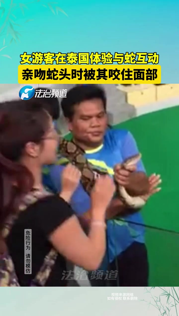 女游客泰国体验与蛇互动，亲吻蛇头时被其咬住面部！