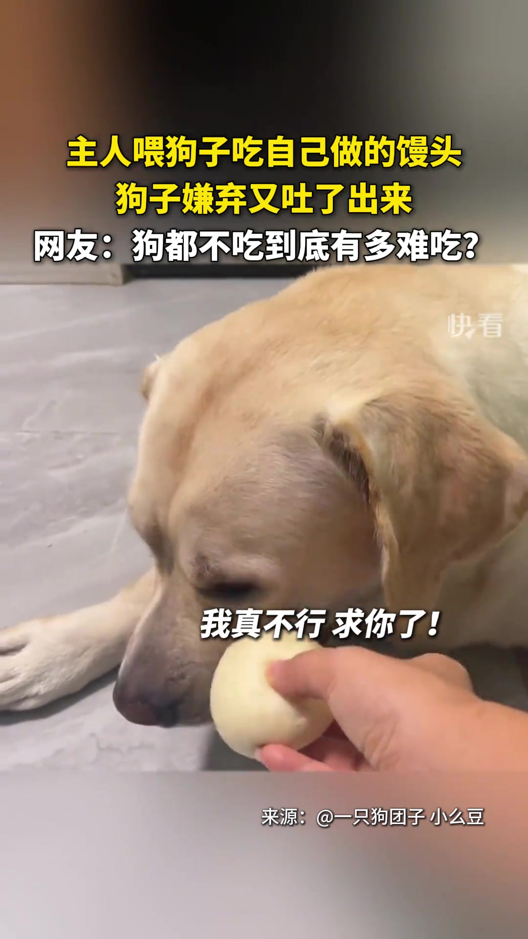 恭喜你，买到了正宗的“狗不理包子！”
