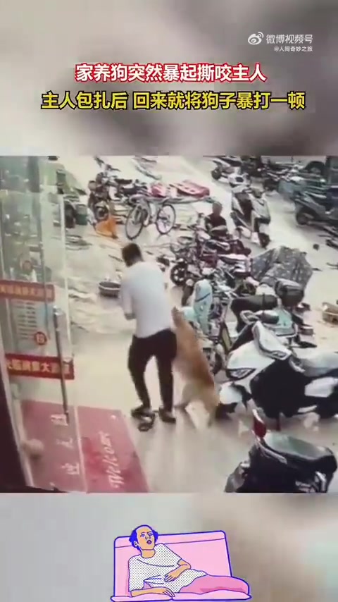 家养狗突然暴起撕咬主人，主人包扎后回家直接把狗子打死
