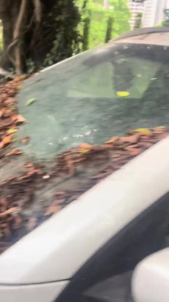 放在路边停半年，这种情况买车的意义在哪呢