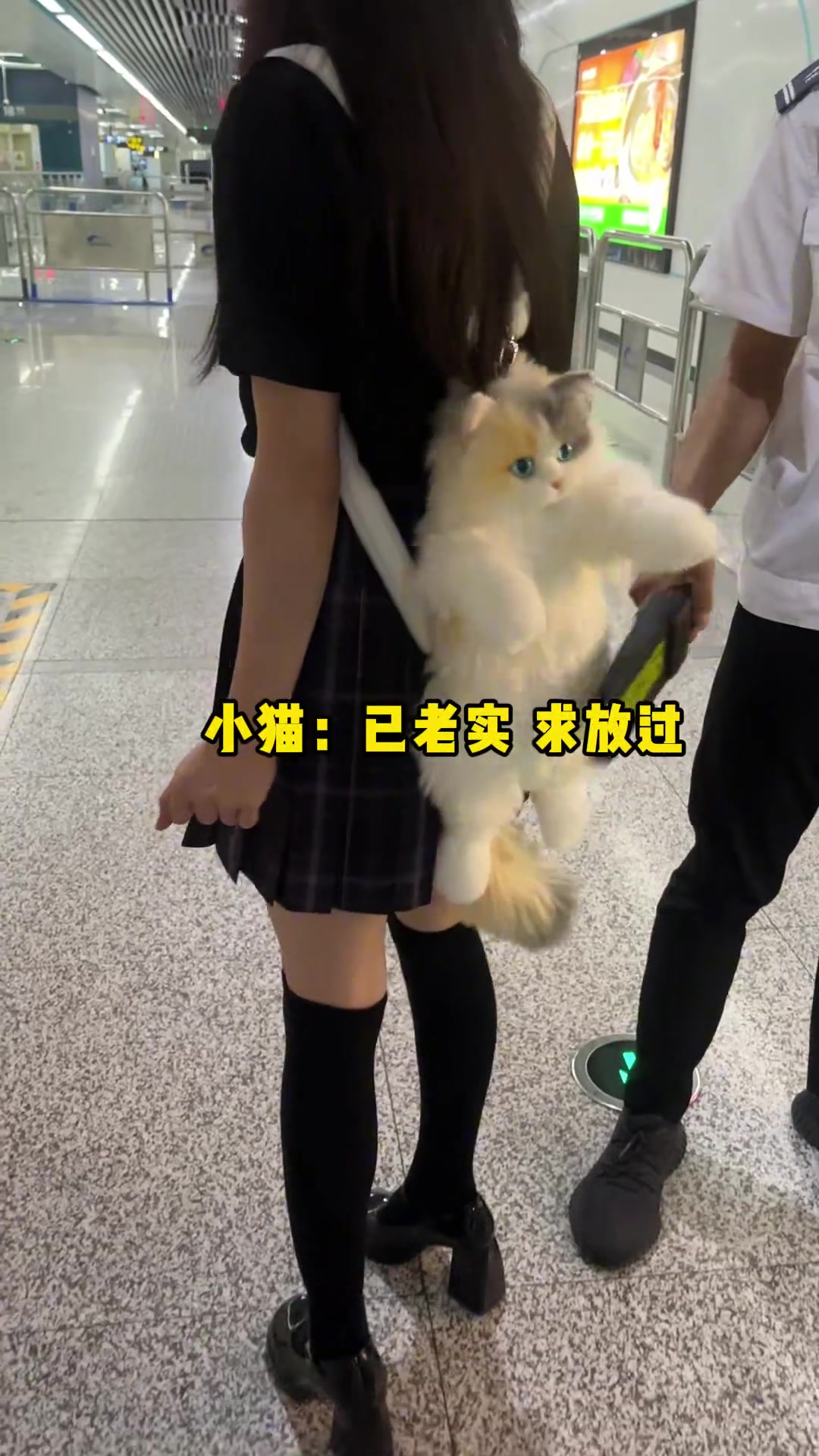 以为是个包，其实是只猫！