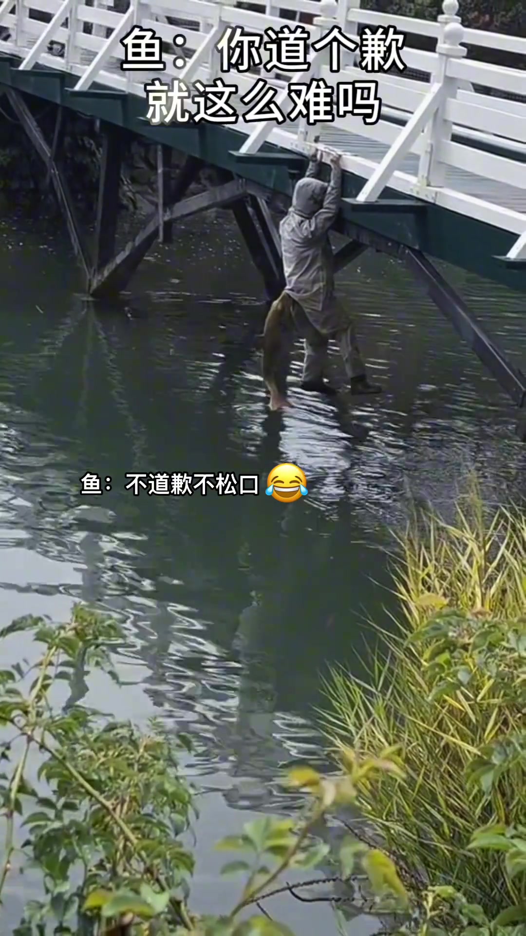 哥们你道个歉就这么难吗！