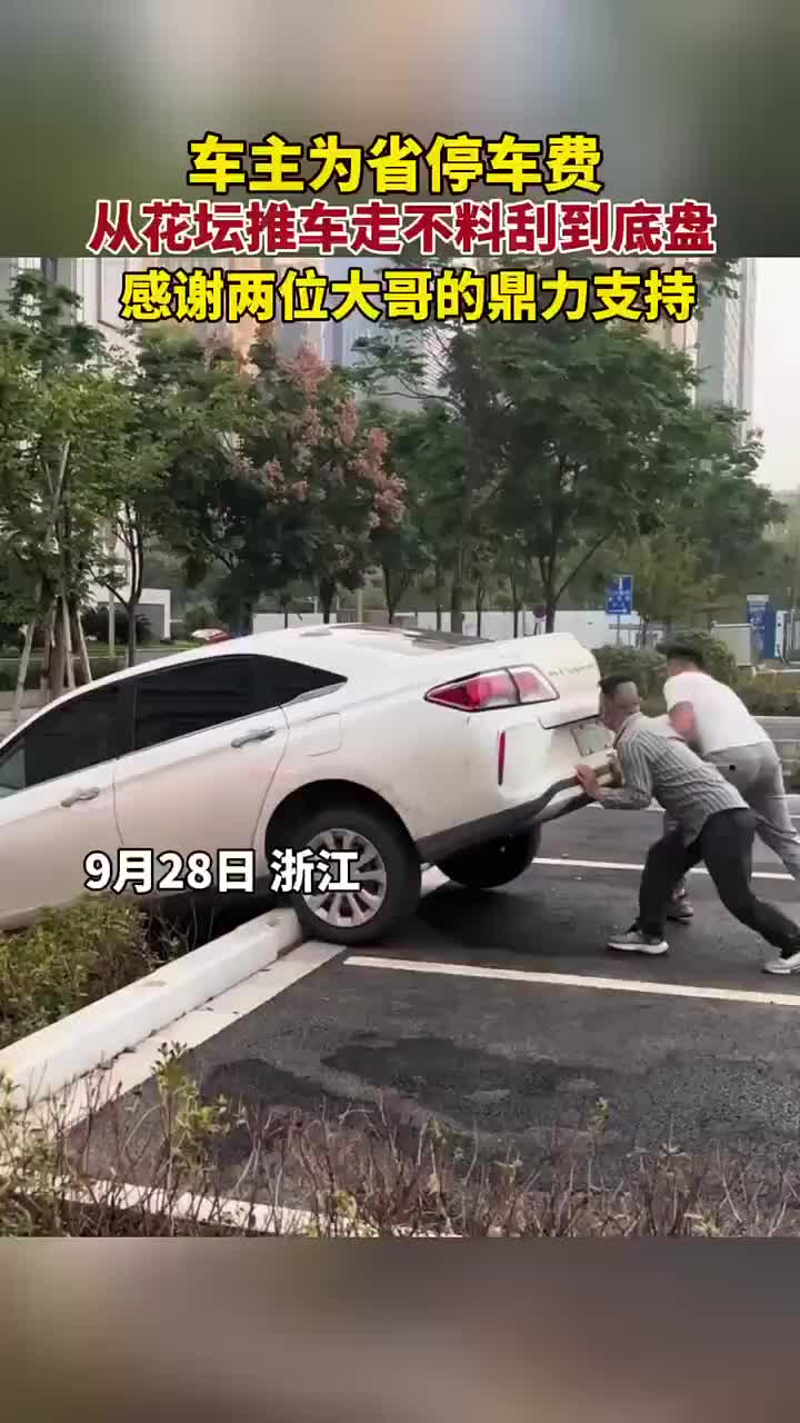 这回好了，捡了芝麻丢了西瓜，人傻了