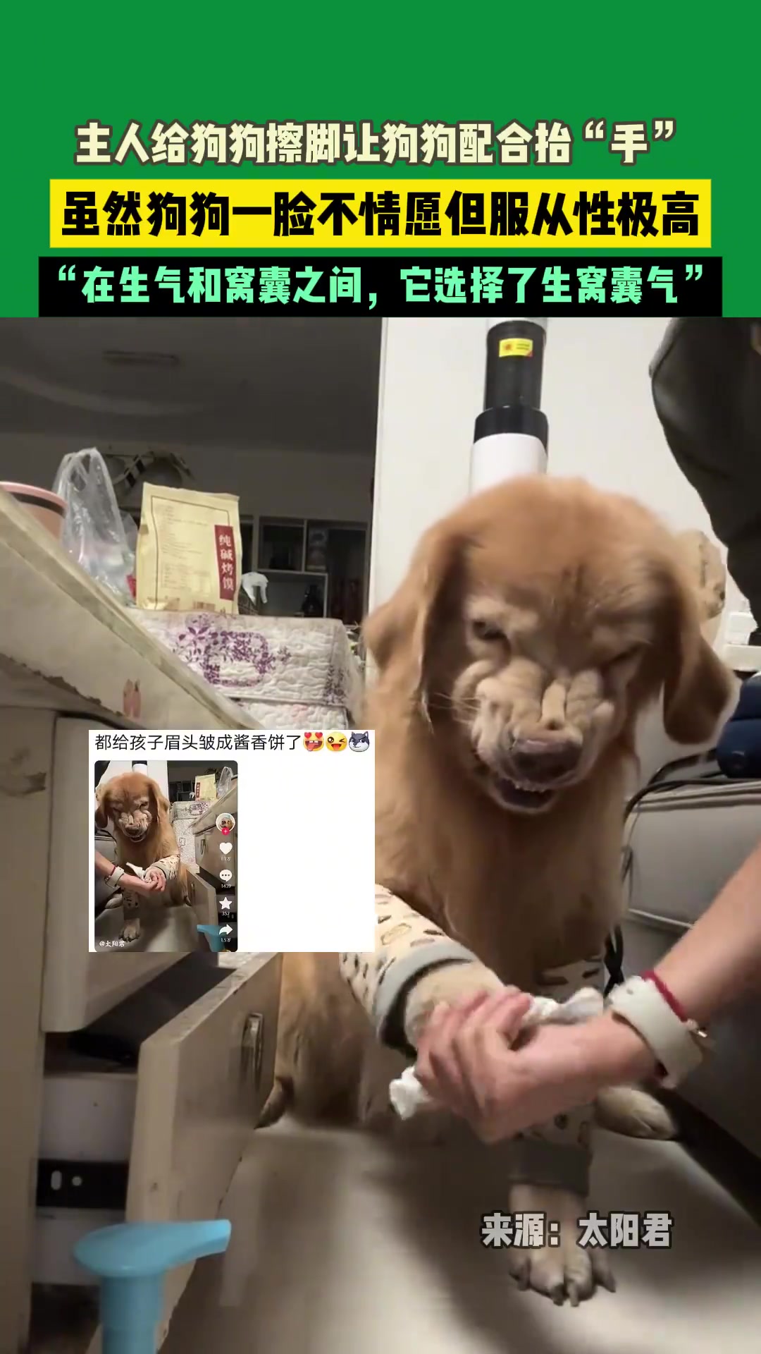 这脸再皱下去都成西游记里的豹子精了