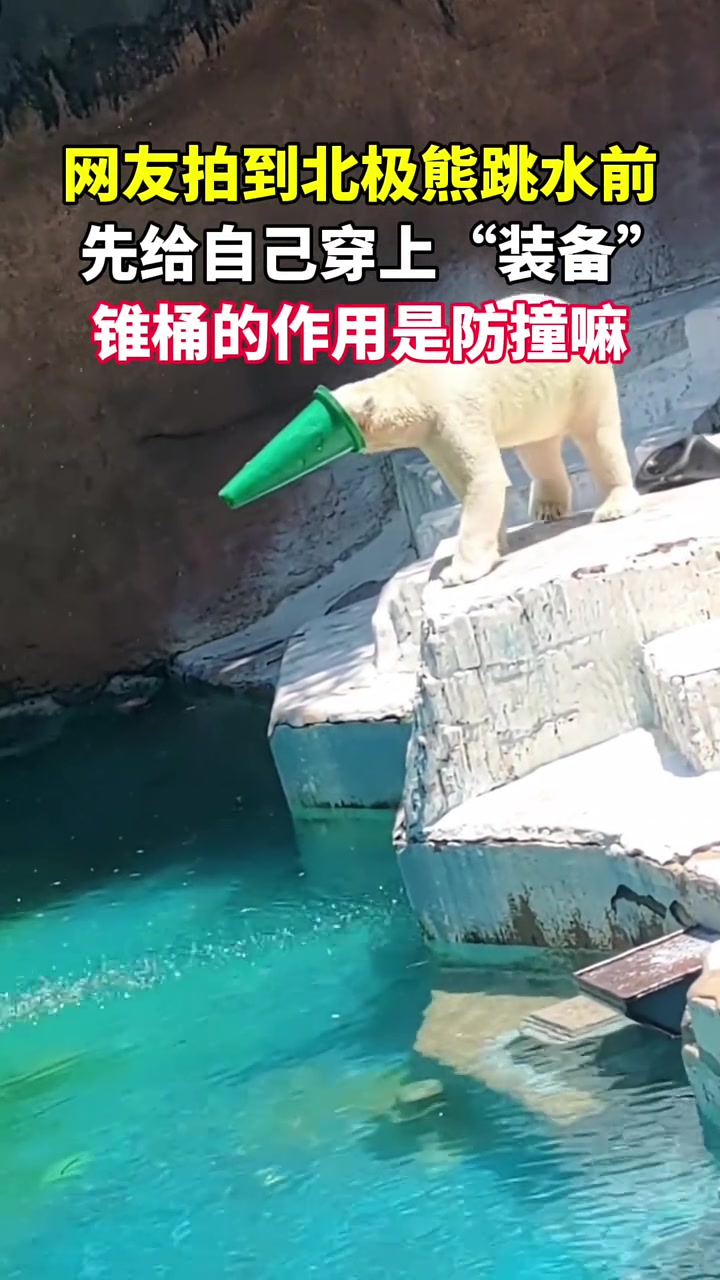 跳水前先展示一个超级变换形态！