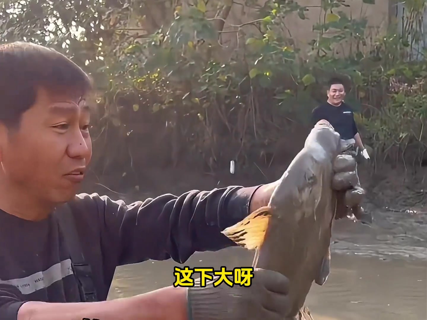 狗子你礼貌吗问我啥鱼