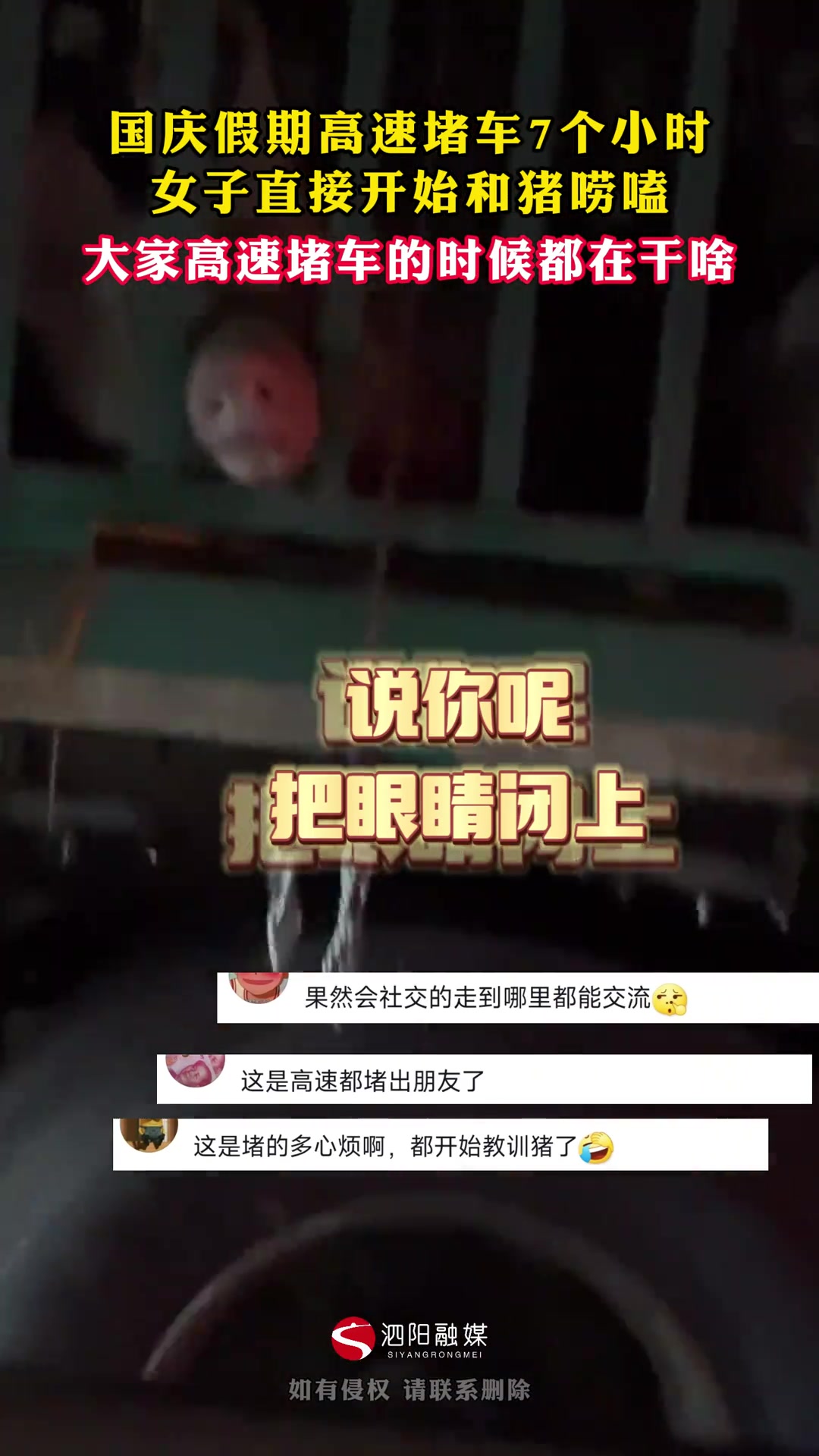 国庆假期高速堵车7个小时女子直接开始和猪唠嗑