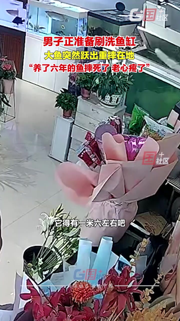 男子正准备清洗鱼缸时听到异响，发现自家养的大鱼直接跳缸