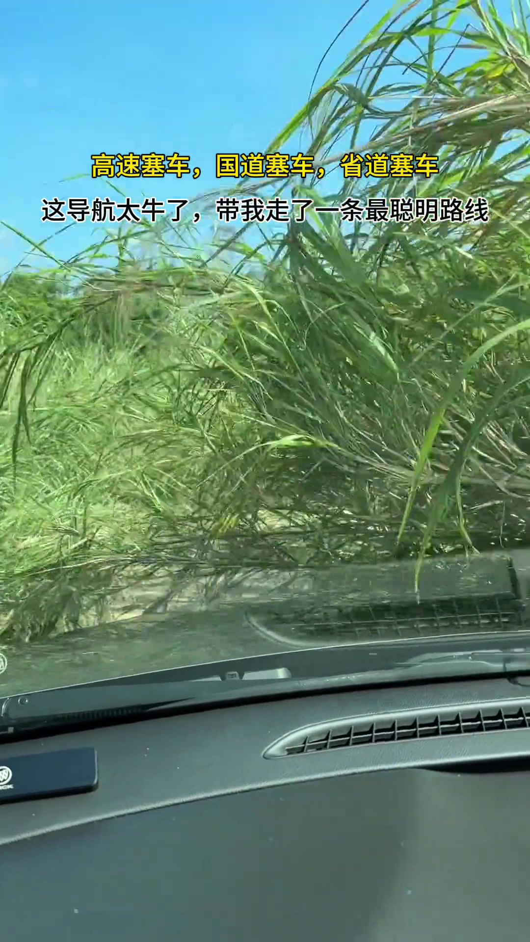 缺德地图持续为你导航不走寻常路
