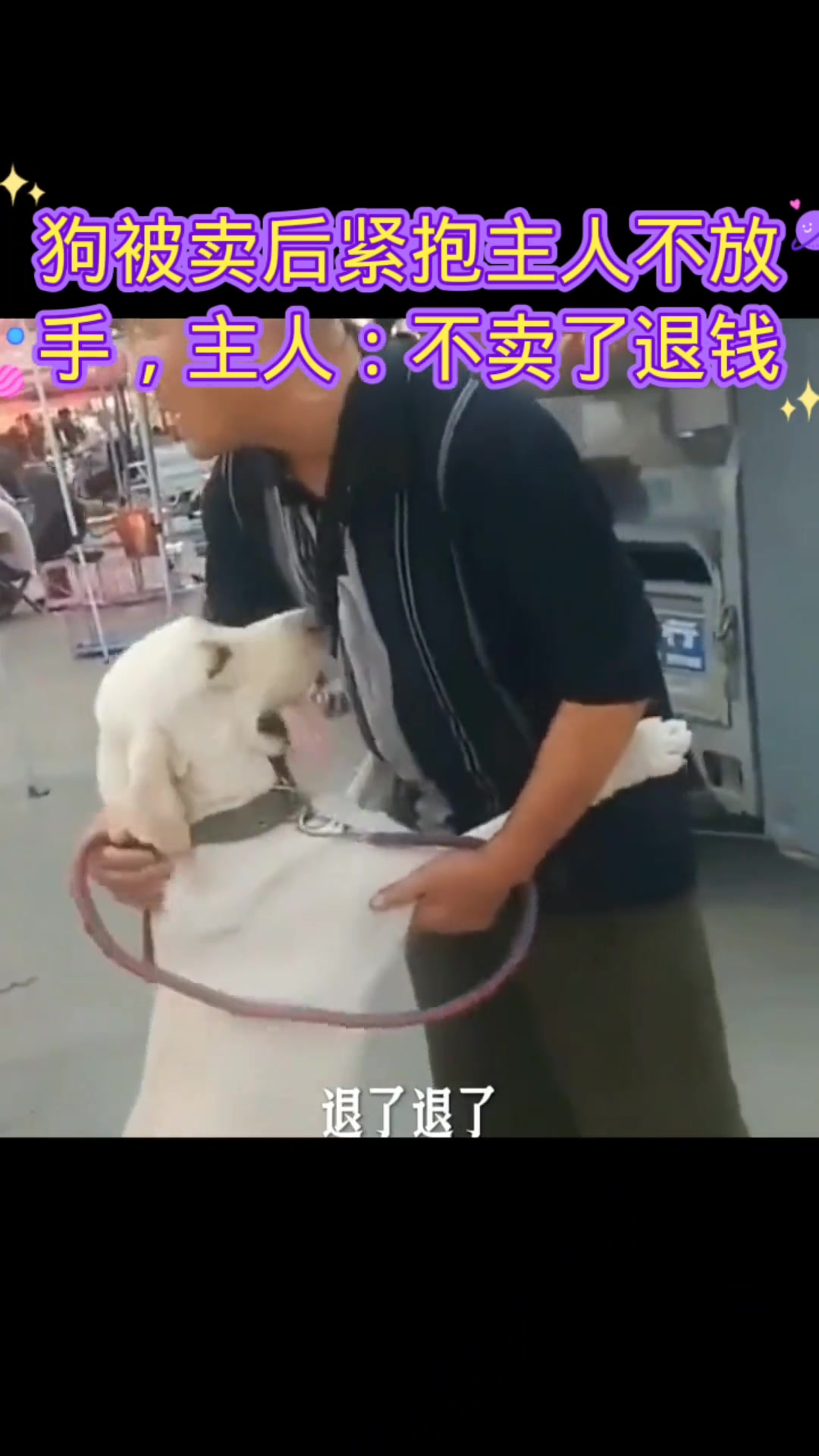 狗被卖后紧抱主人不放手，主人：不卖了退钱