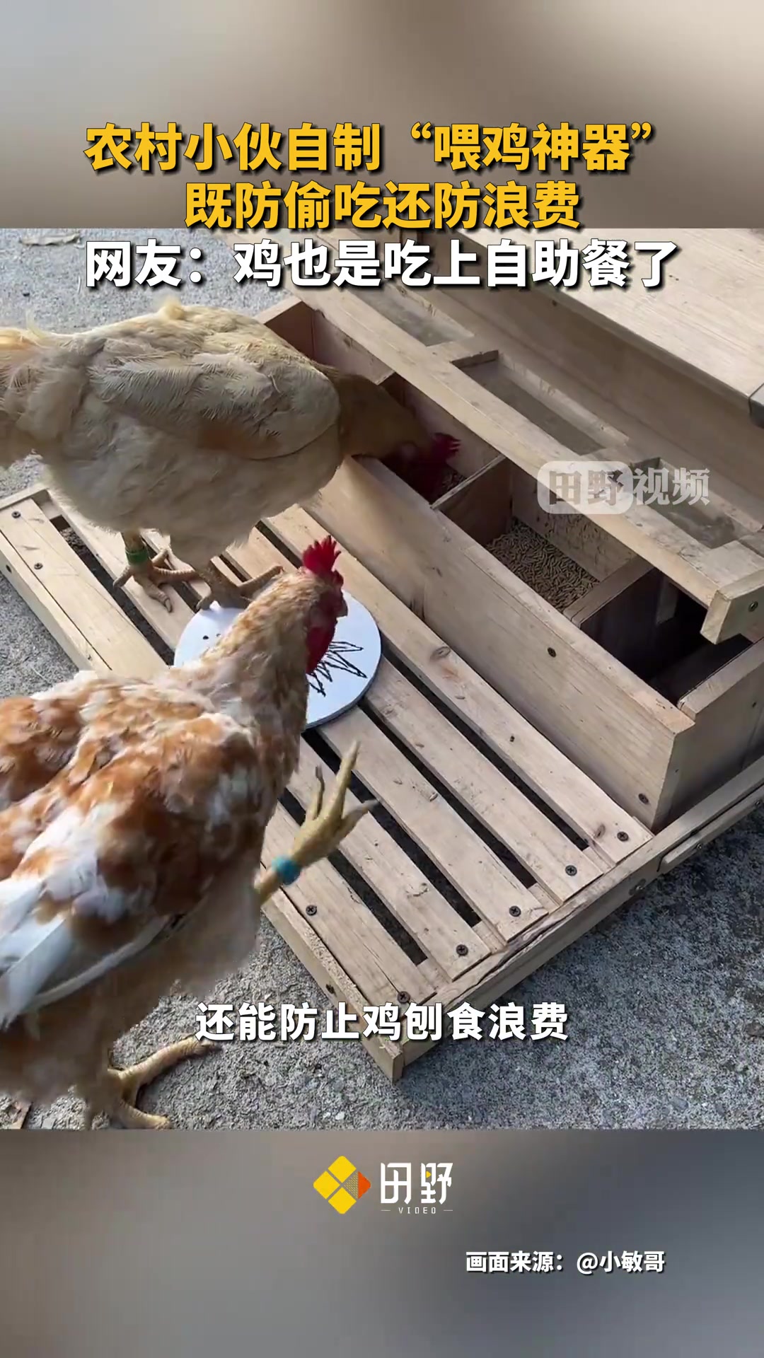 农村小伙自制“喂鸡神器”，既防偷吃还防浪费