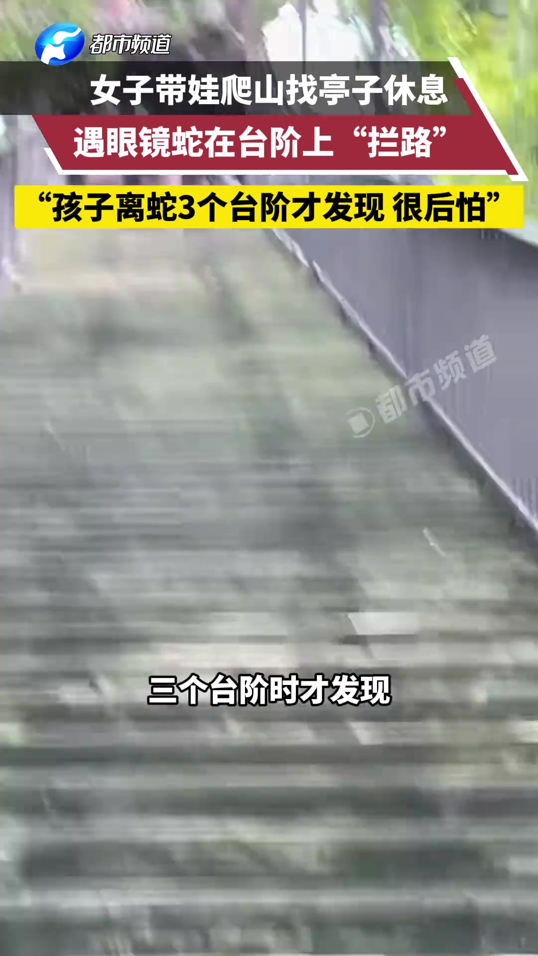 惊！女子带娃爬山找亭子休息遇眼镜蛇在台阶上“拦路”