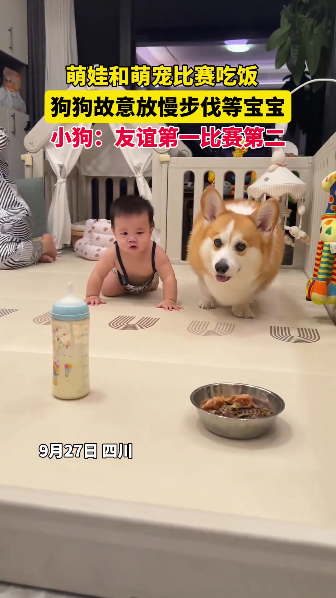 萌娃和萌宠比赛吃饭，狗狗故意放慢步伐等宝宝