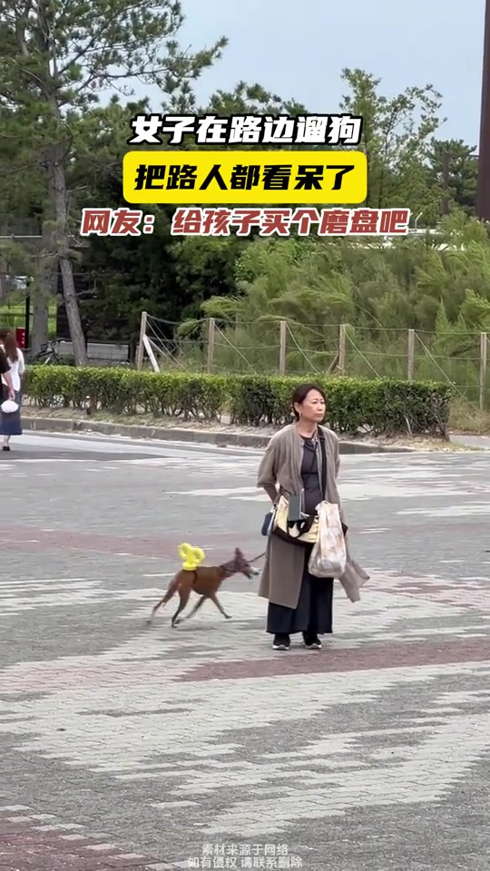 女子在路边遛狗，把路人都看呆了