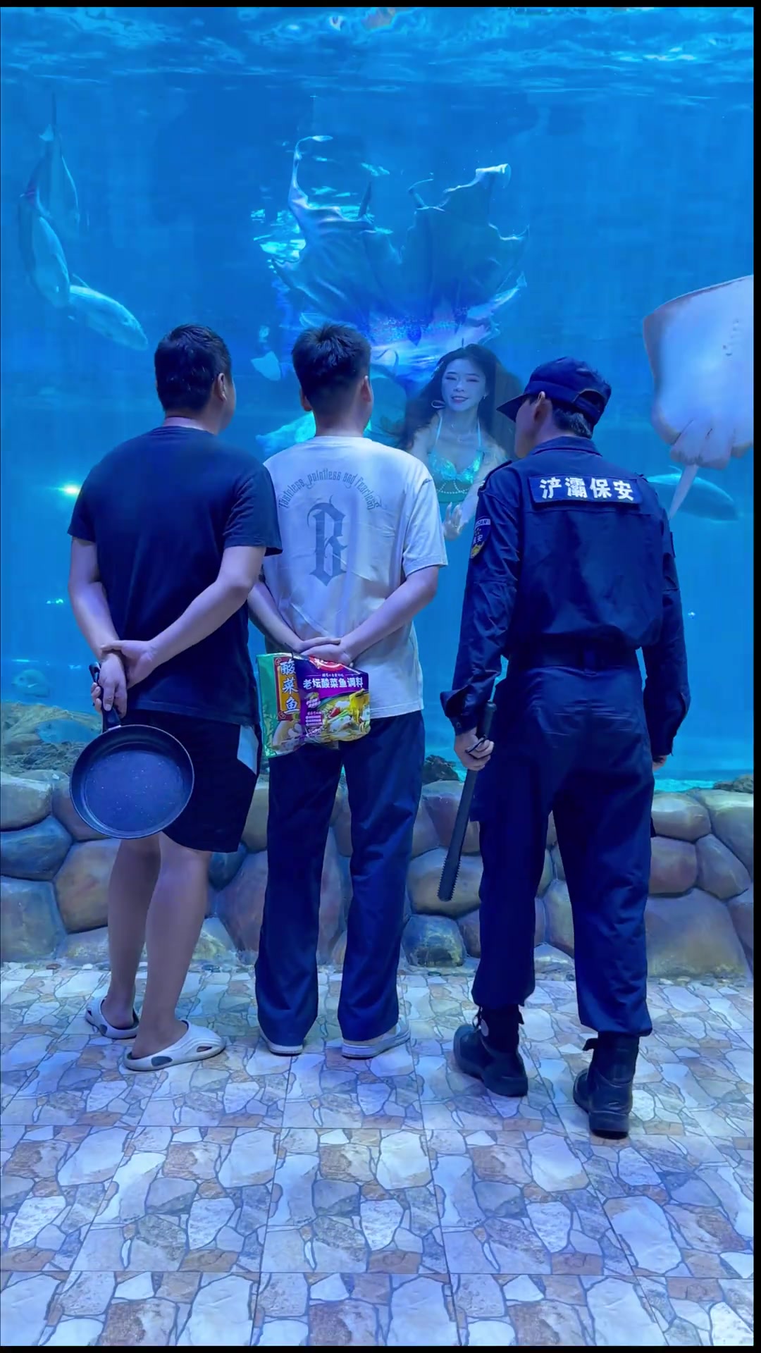 你们这是要把美人鱼给炖了嘛