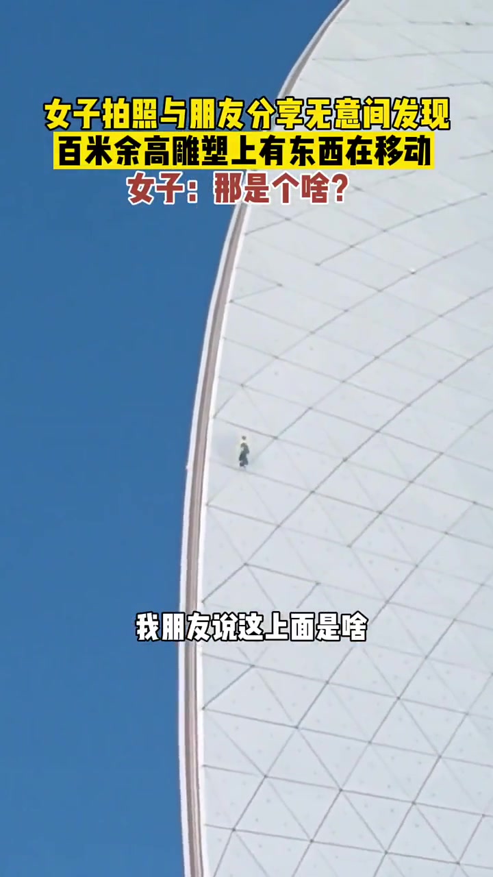 我没看错吧，哥们，你爬上去的