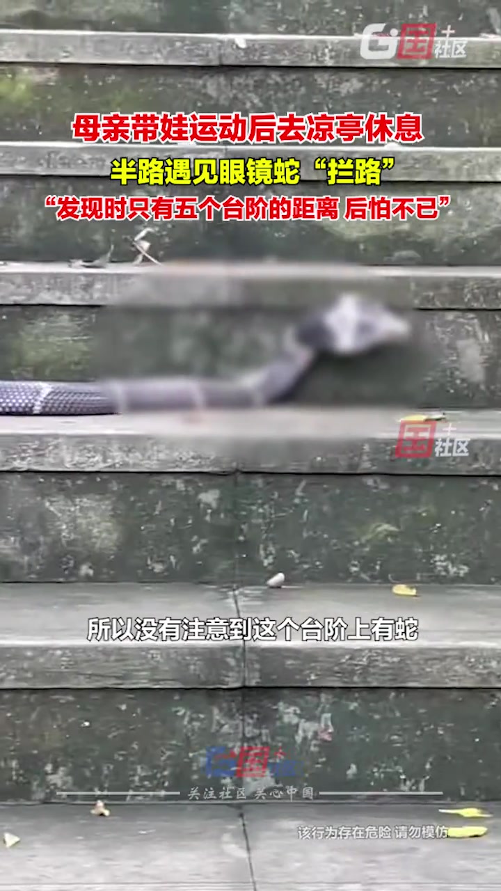 眼镜蛇拦路！母亲带娃去凉亭休息遇眼镜蛇拦路！