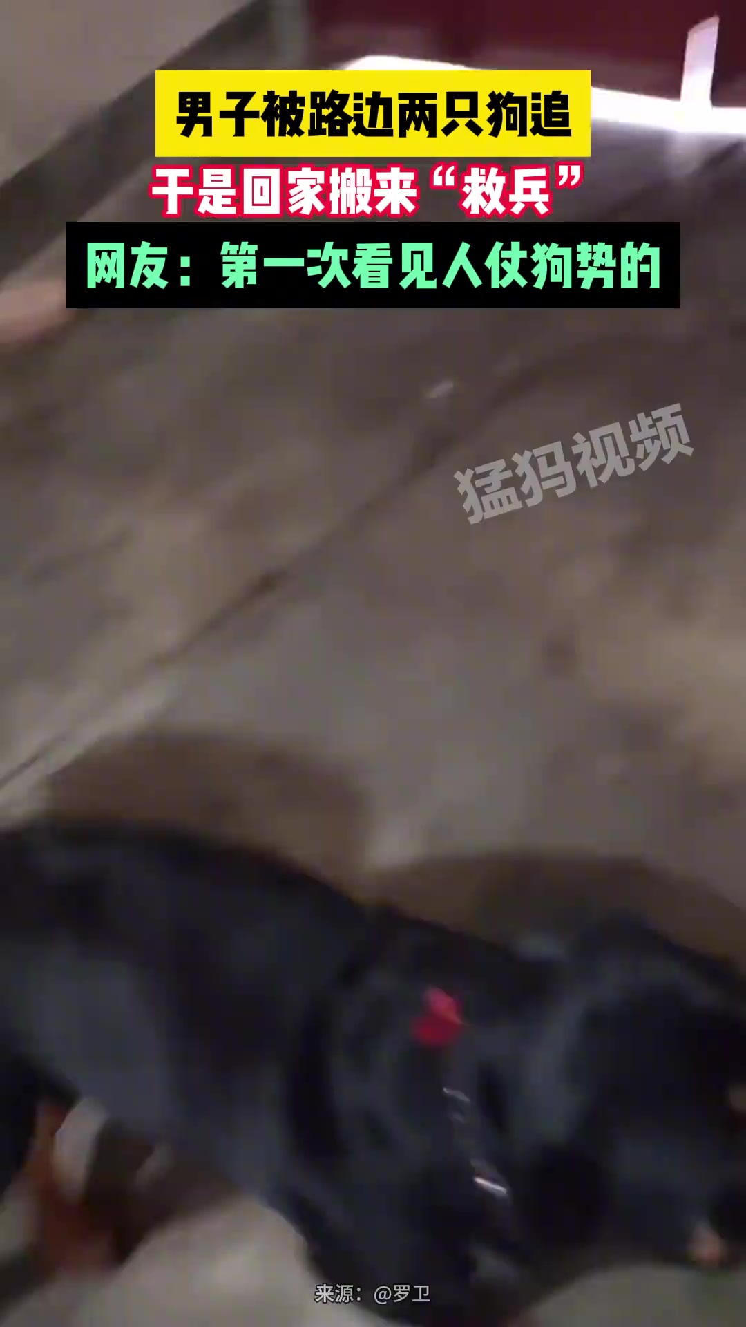 第一次看见人仗狗势的！！！