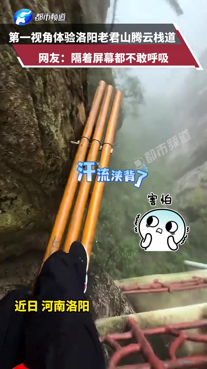 想学神仙，驾鹤飞天