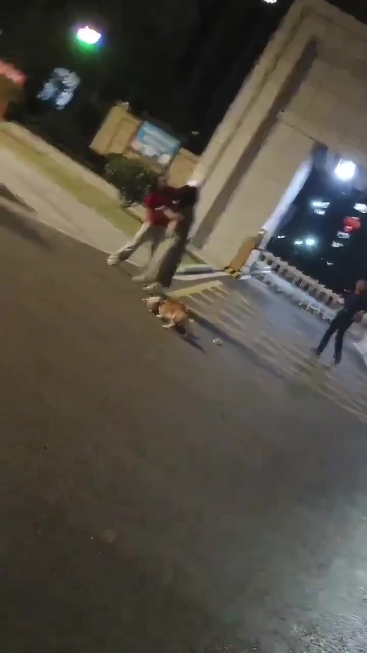两条狗不栓绳打闹，一旁竟出现神同步武魂真身！