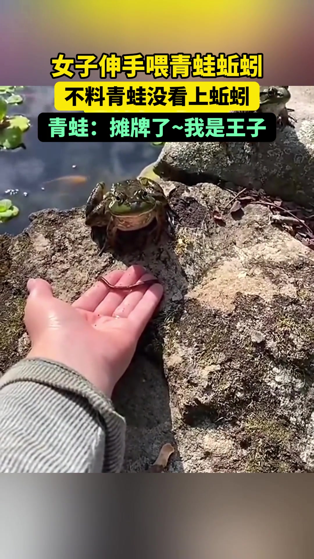 摊牌了我是王子！我只想吃天鹅肉！钓鱼佬：这饵都不吃的吗