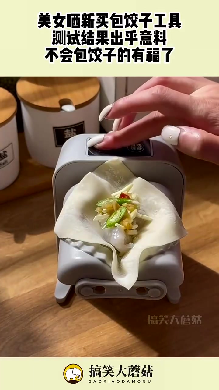 纯纯智商税自动包饺子器您会买吗