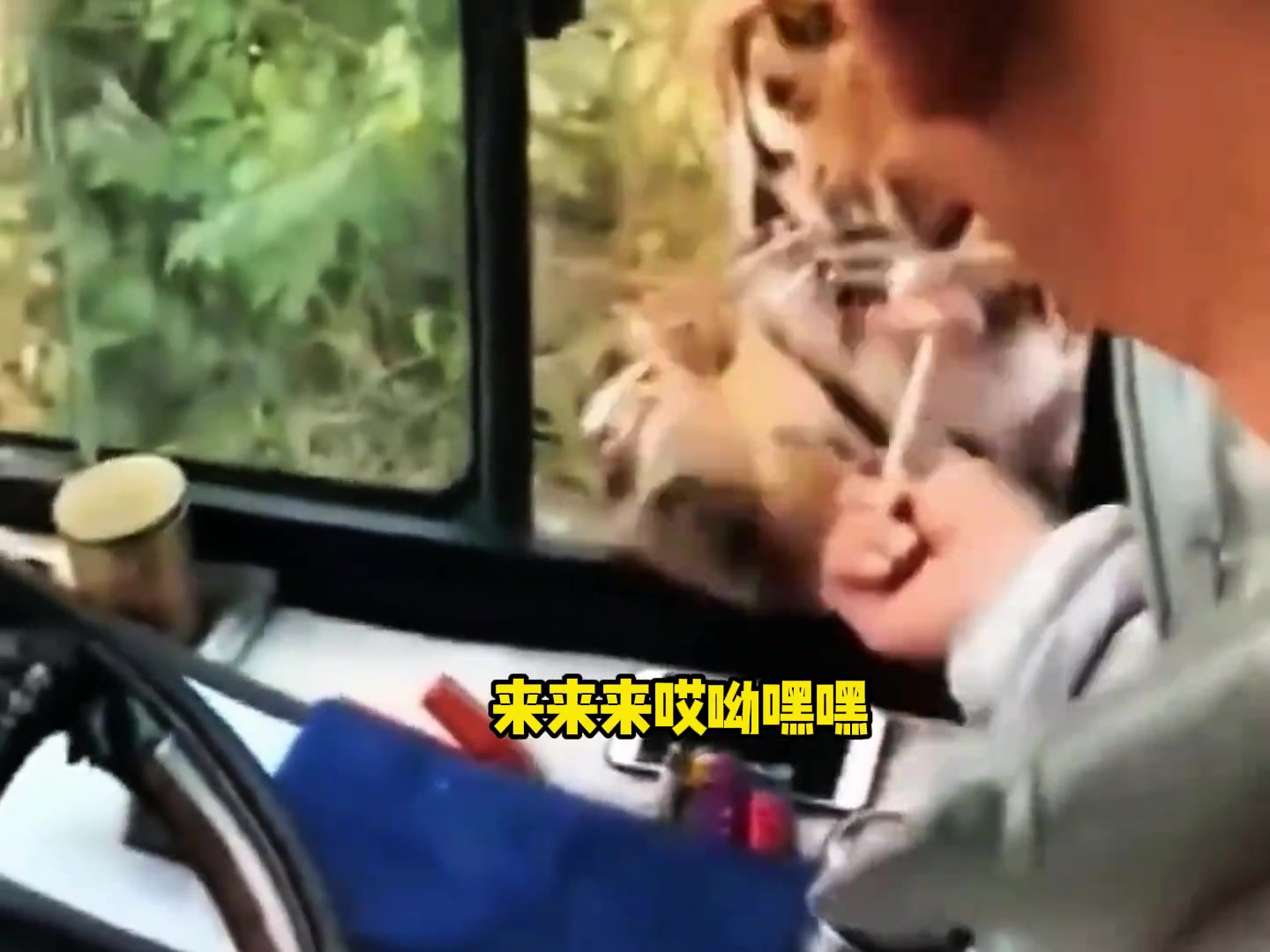 那么多吃的，不给我吃