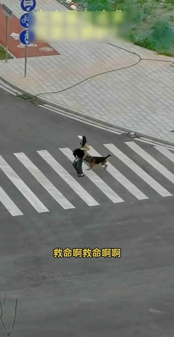 大狗：小姐姐你越叫我越兴奋！！
