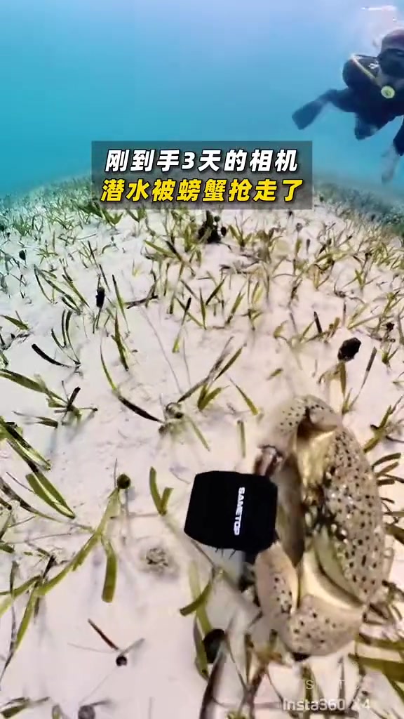 偷东西还要边跑边自拍什么你的我捡到的就是我的
