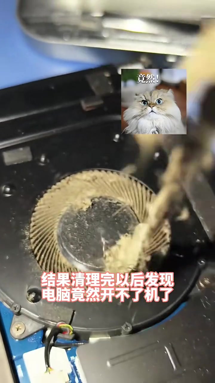 震惊！网友表示这一考古发现填补了我国历史没有木乃伊的空白！