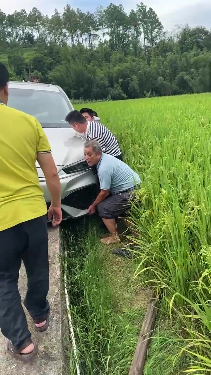没两条中华都上不来