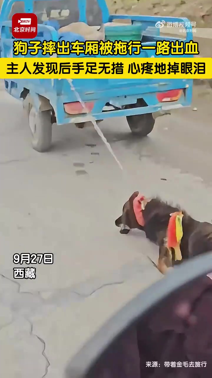 狗子摔出车厢被拖行一路出血，大爷发现后站在路边抹眼泪！