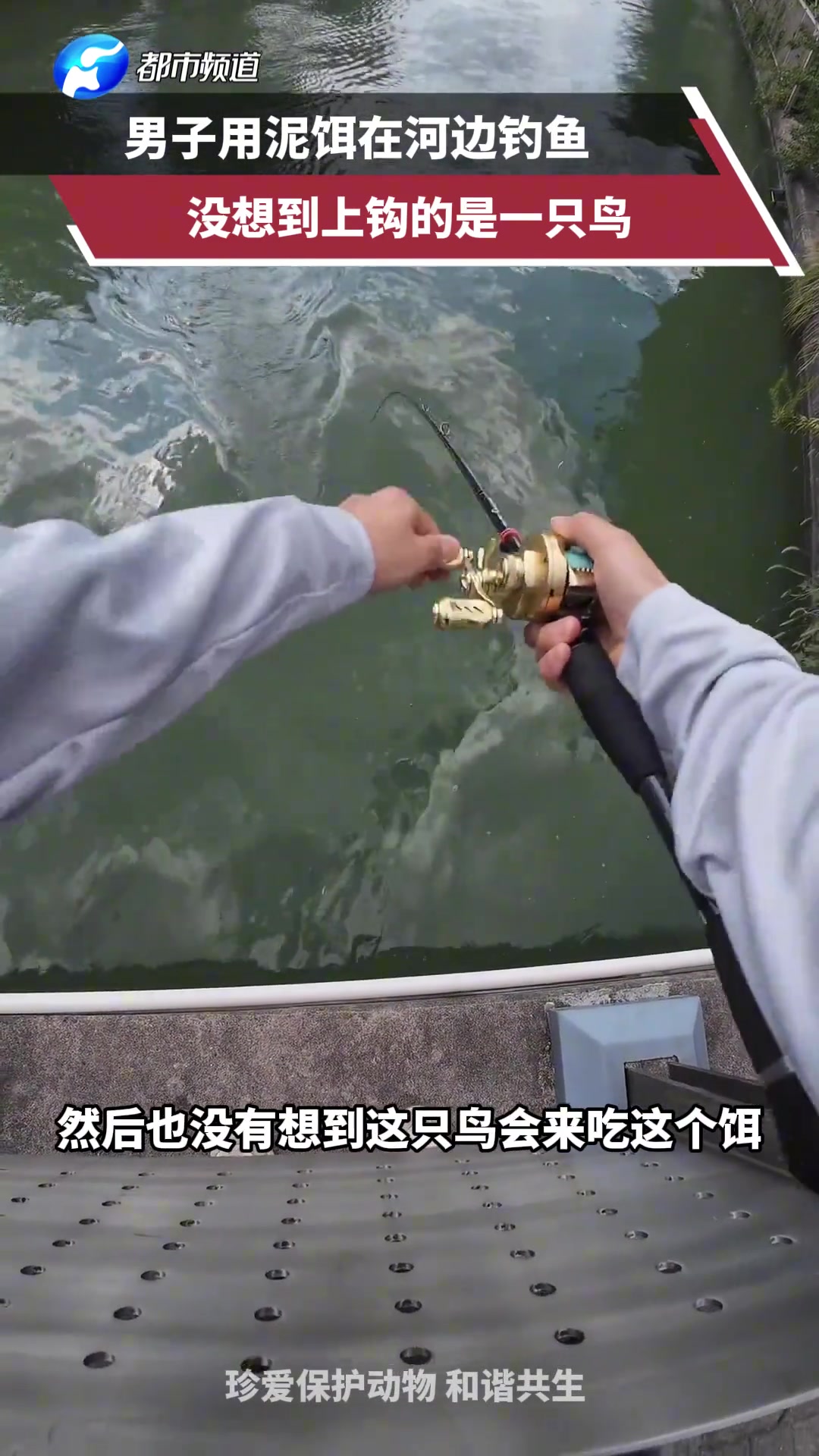男子用泥饵在河边钓鱼，没想到上钩的是一只鸟