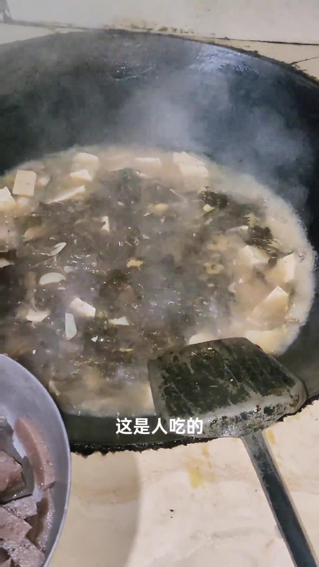猪和人，在一个锅里吃饭，是什么体验