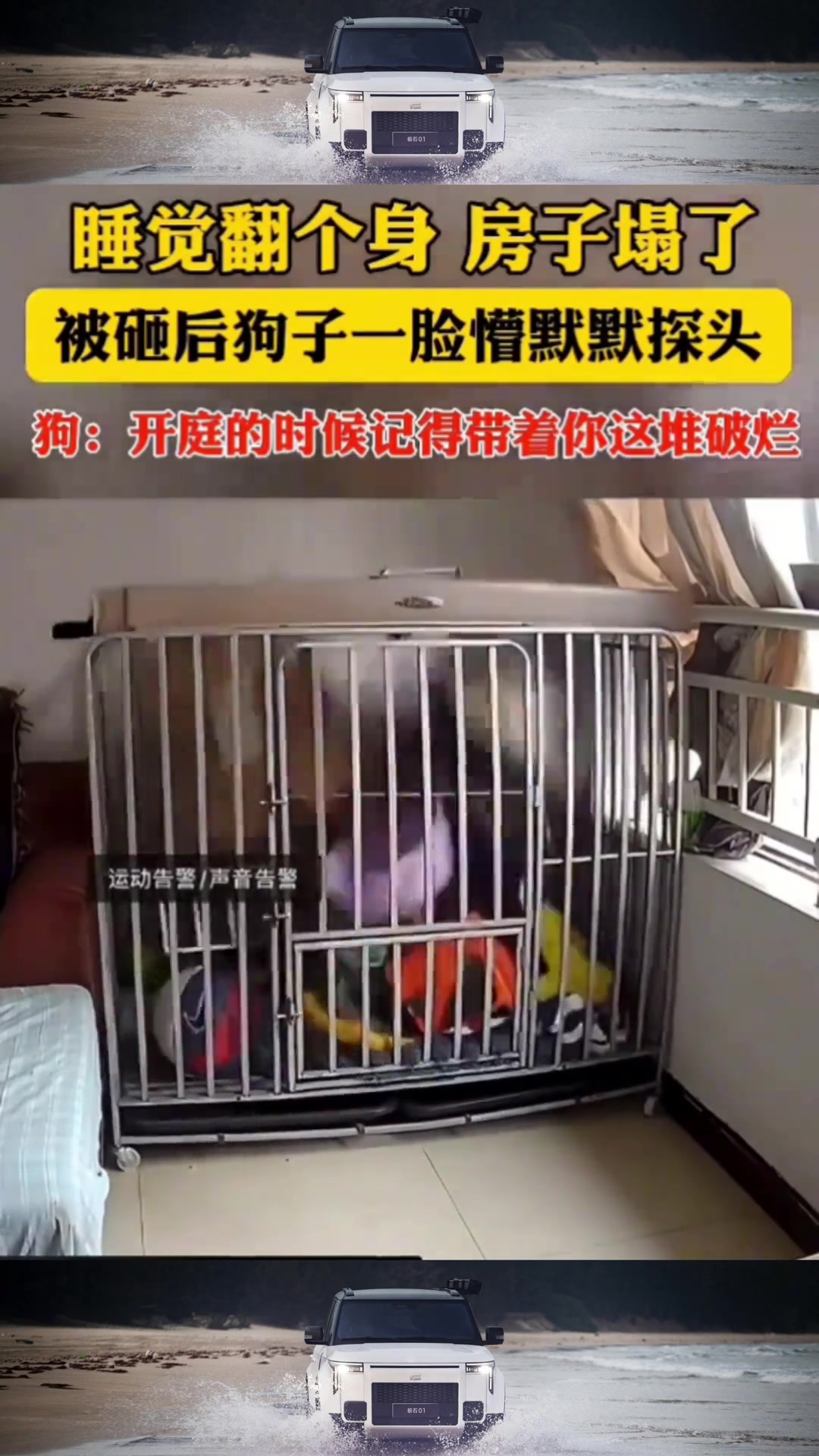 狗子：开庭的的时候记得带着你这堆破烂！