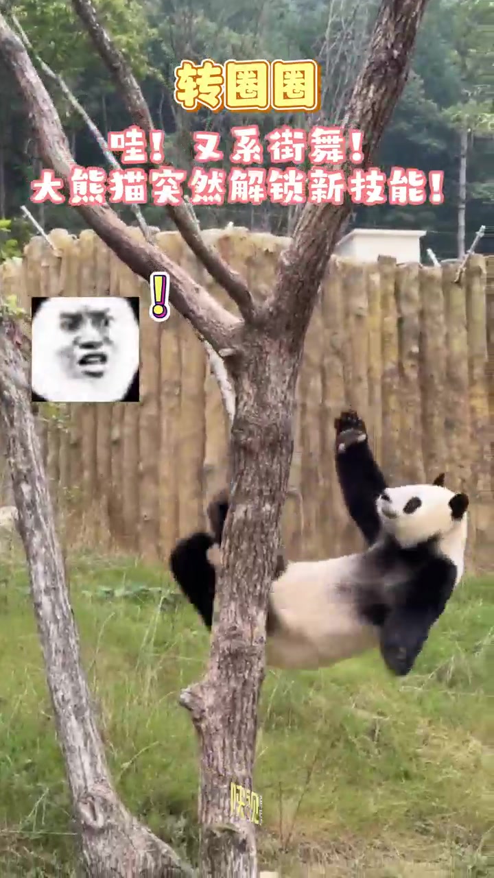 这就是街舞！这年头没点才艺还当不了国宝了
