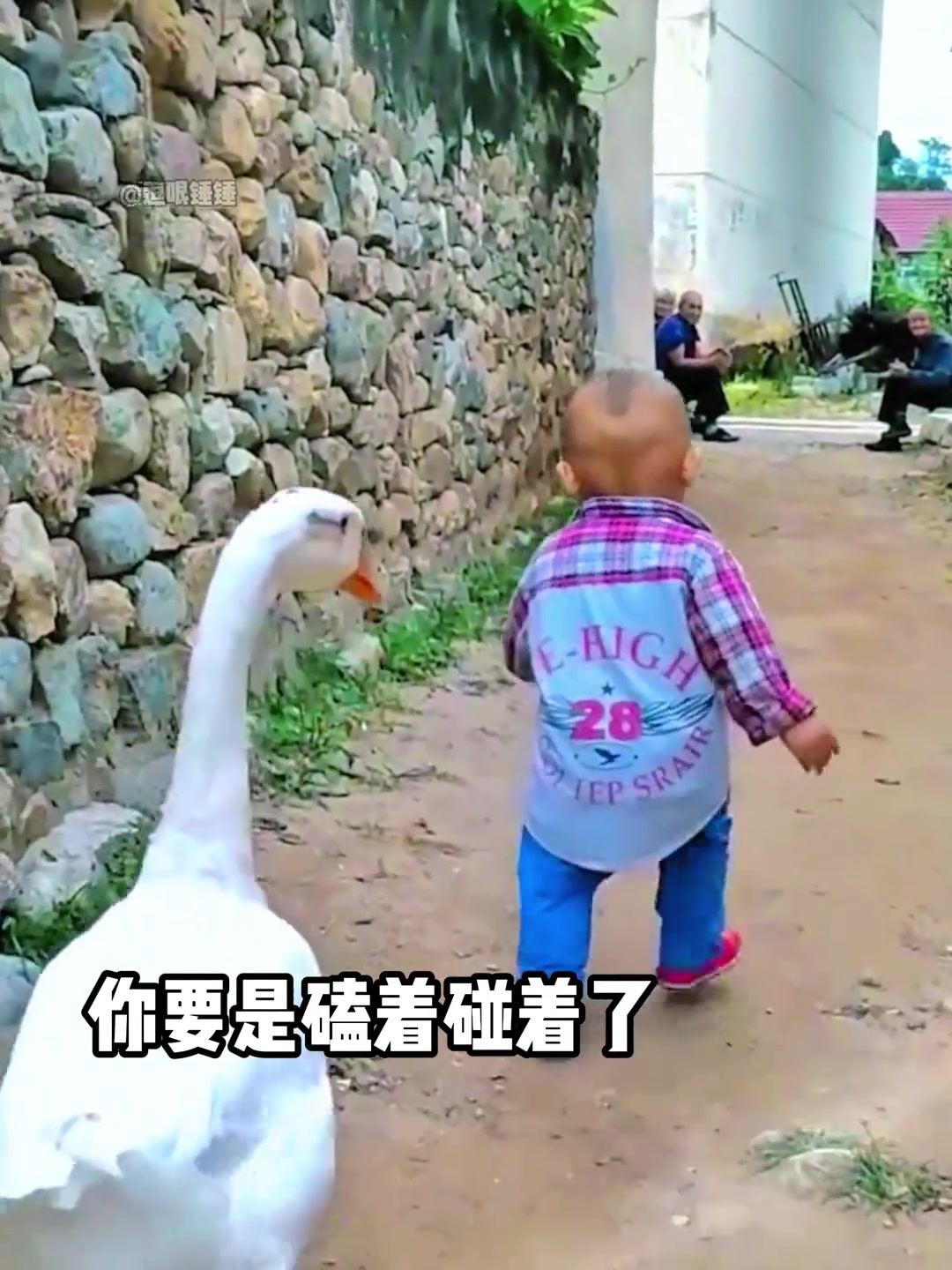 鹅：我的少东家呀，你慢点！