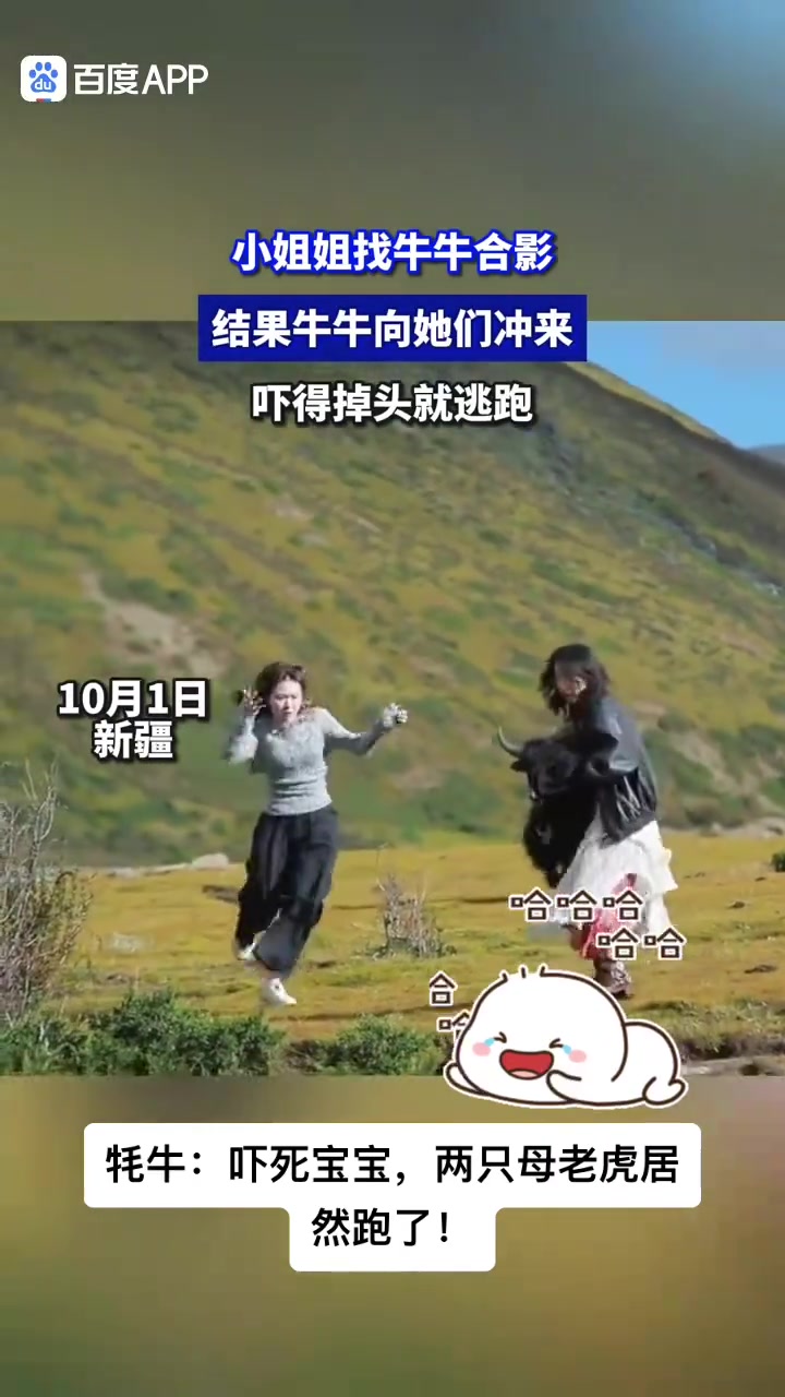 小姐姐找牛牛合影，结果牛牛向她们冲来