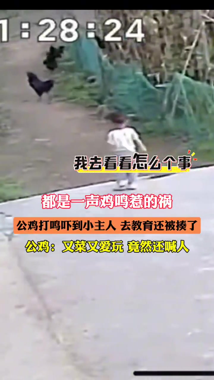 别看他小，他揍你你也得挨着！