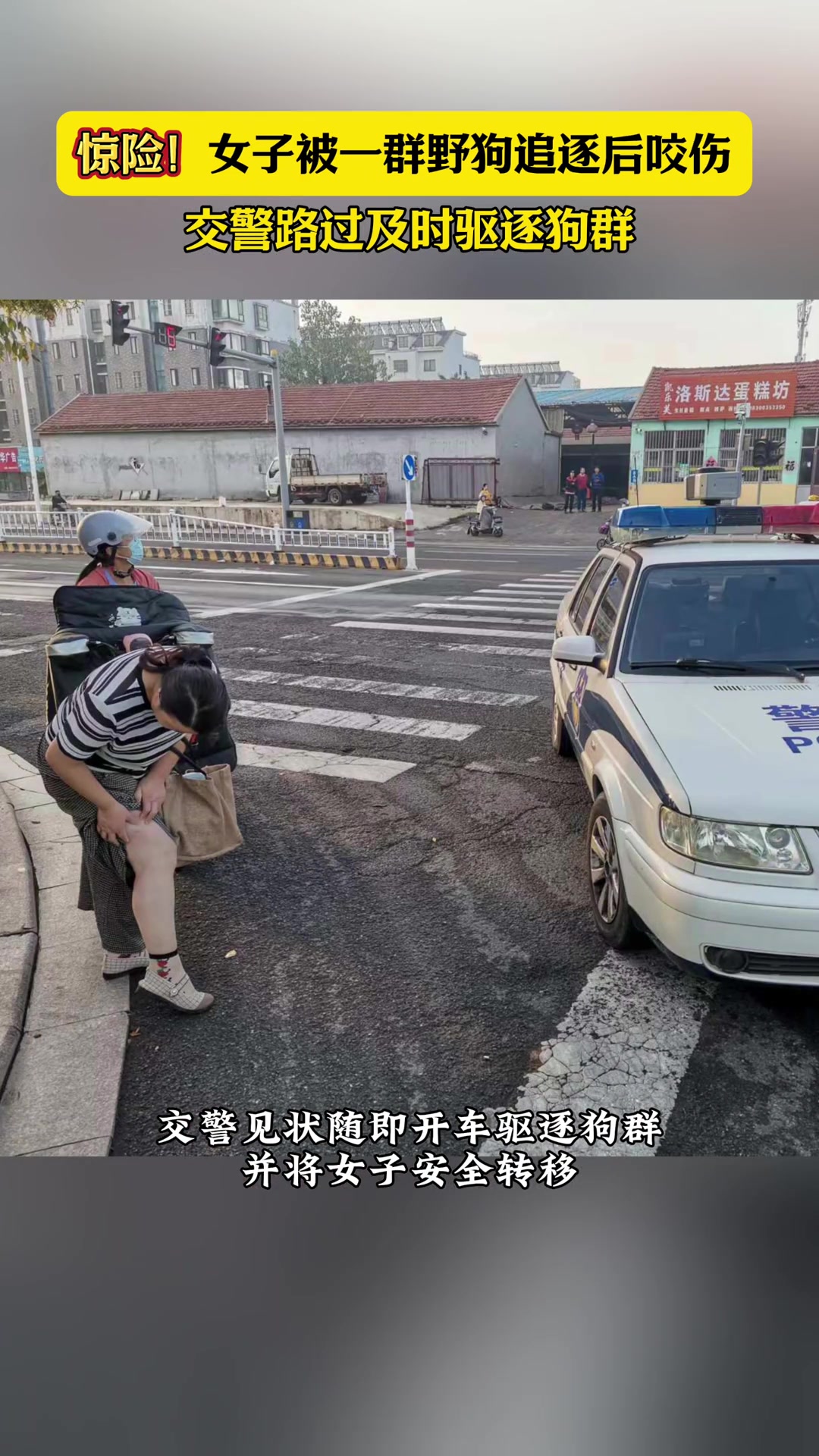 女子被狗群追咬，路过交警及时驱逐