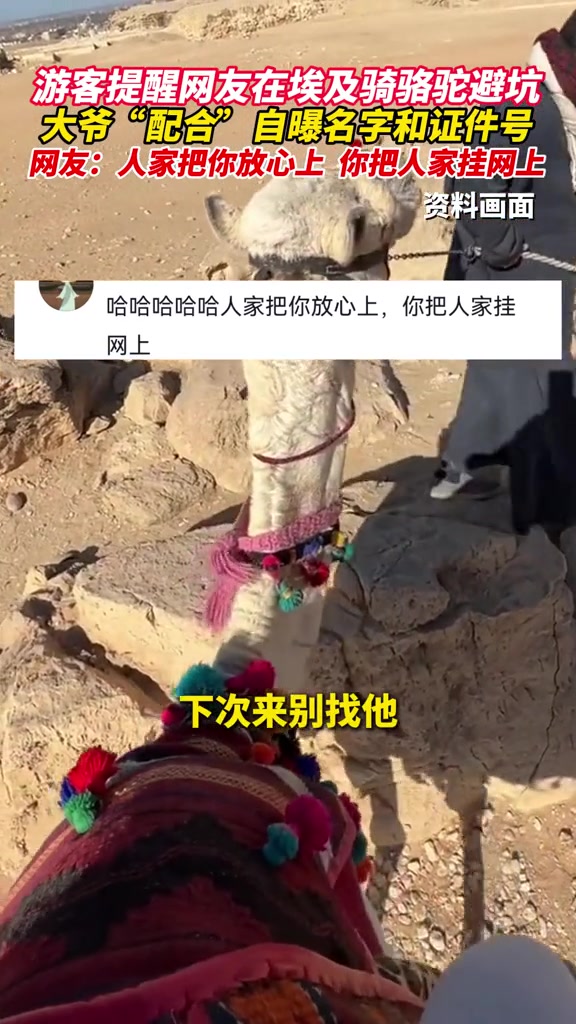 网友在埃及被坑，录视频提醒其他人太好笑了