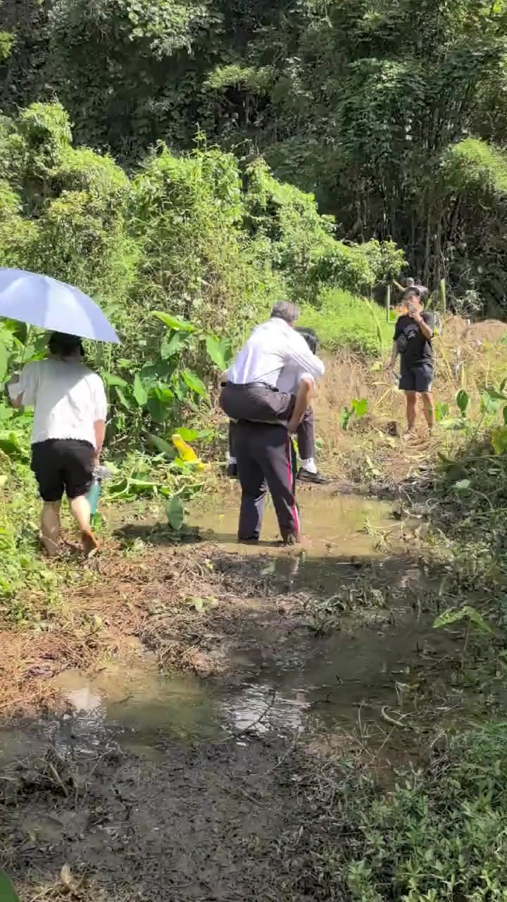 悬着的心终于死了