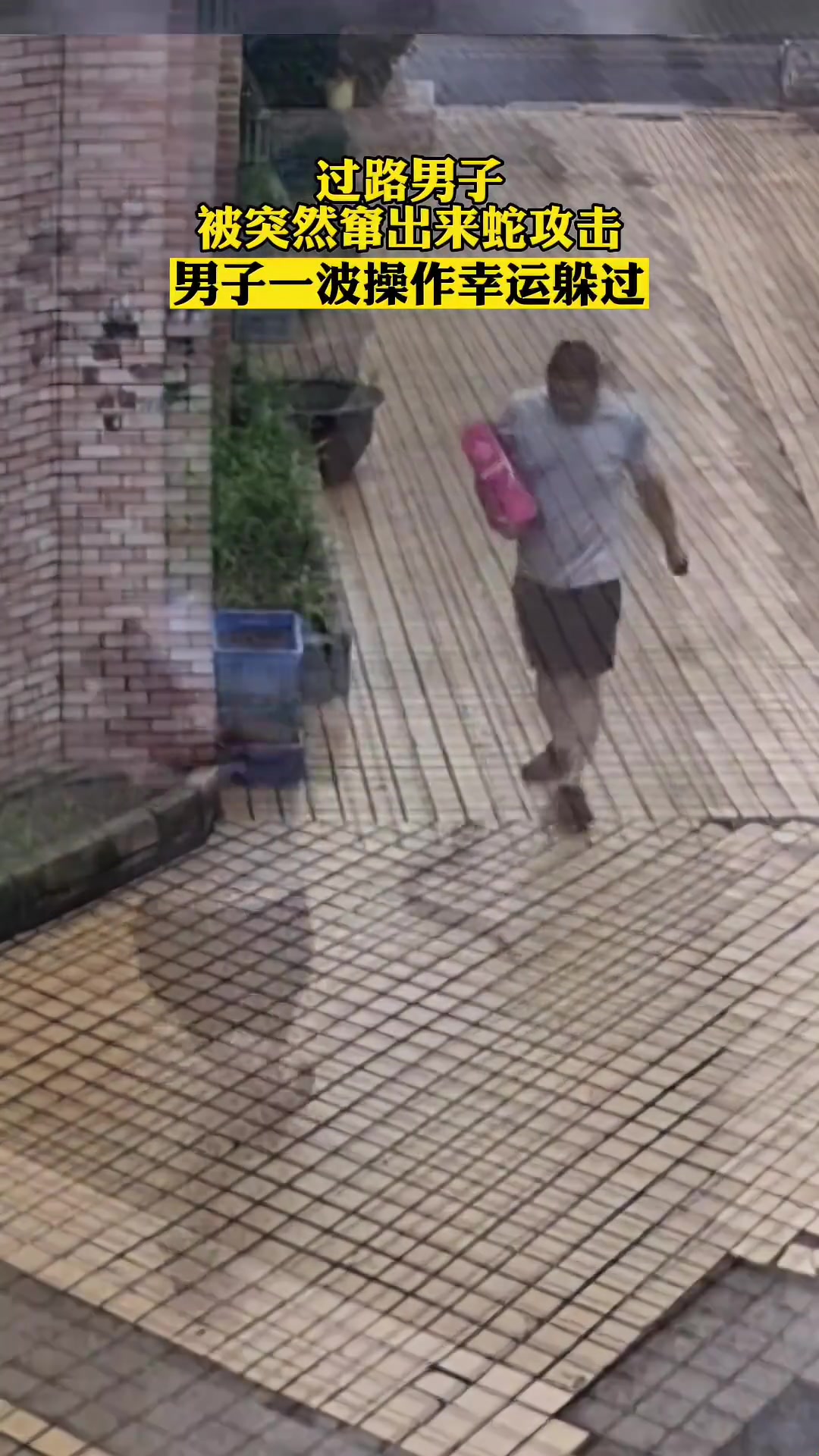 过路男子突然被蛇跳出来攻击，男子一波操作幸运躲过！！！