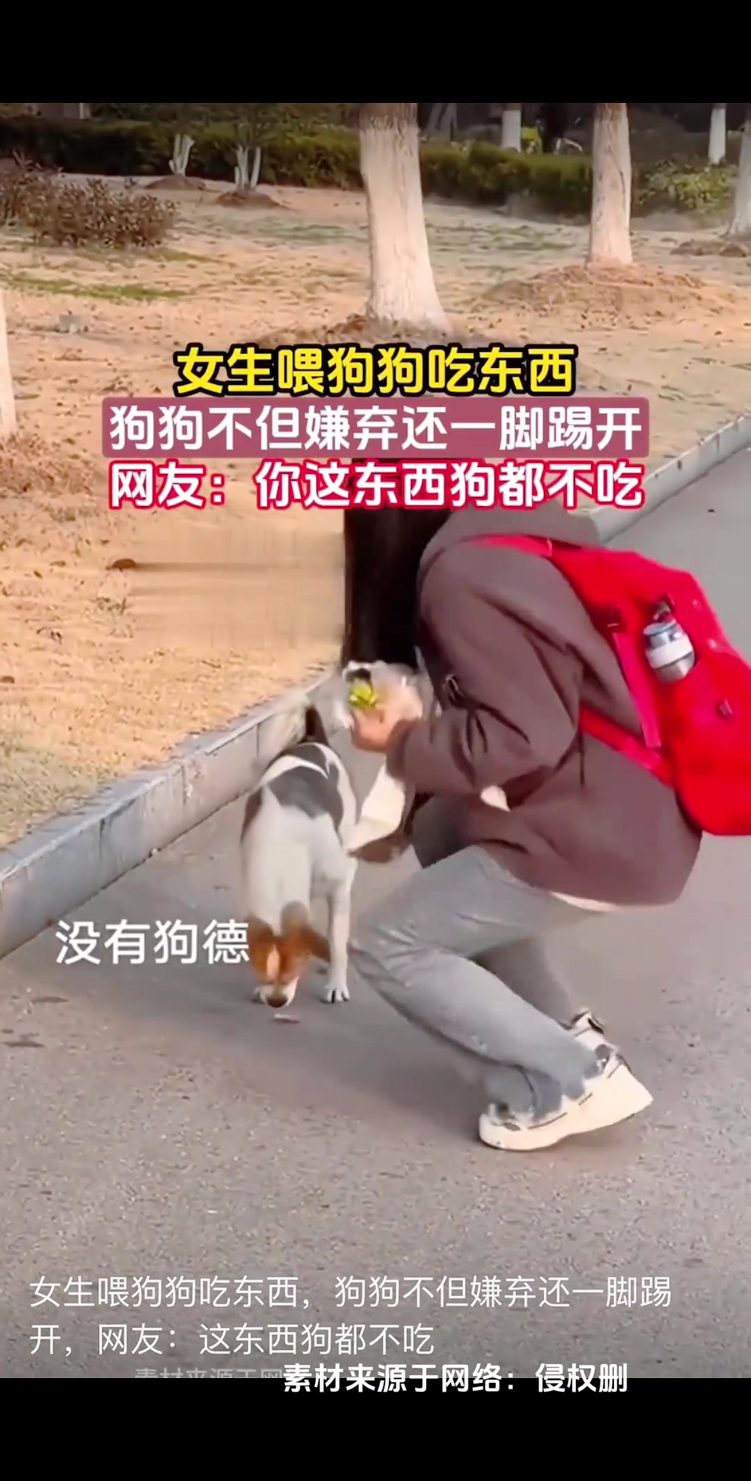 狗：早说你吃这垃圾我都不带理你的