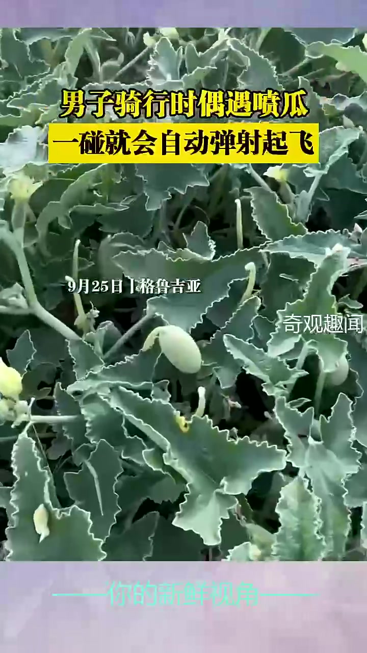 别碰我，不然我马上就要起飞了哦！！