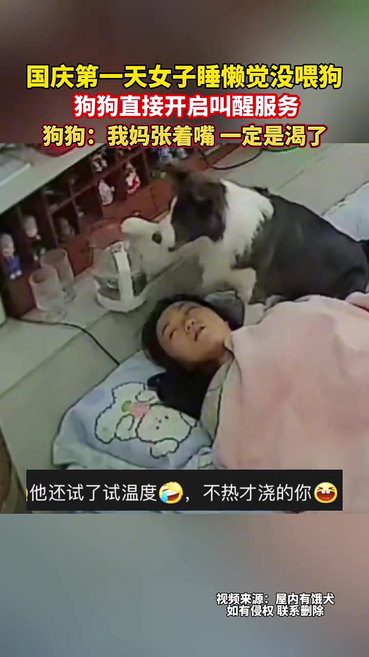 女子睡懒觉，直接被狗子一盆水淋头