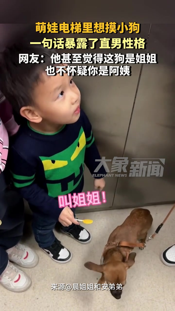 萌娃电梯里想摸狗子，一句话暴露了直男性格
